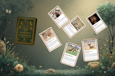 Animals of Ethiopia - Power Play