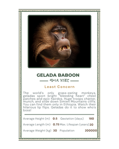 Animals of Ethiopia - Power Play