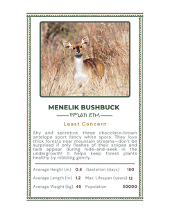 Animals of Ethiopia - Power Play